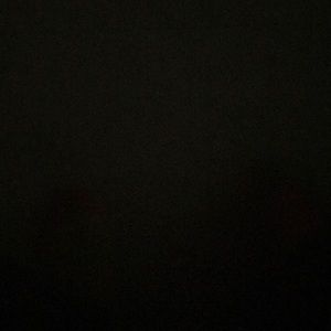 Meet your Posher, Torina